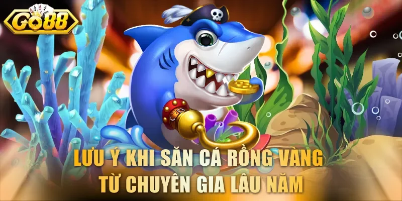 Lưu ý khi săn cá Rồng Vàng từ chuyên gia lâu năm